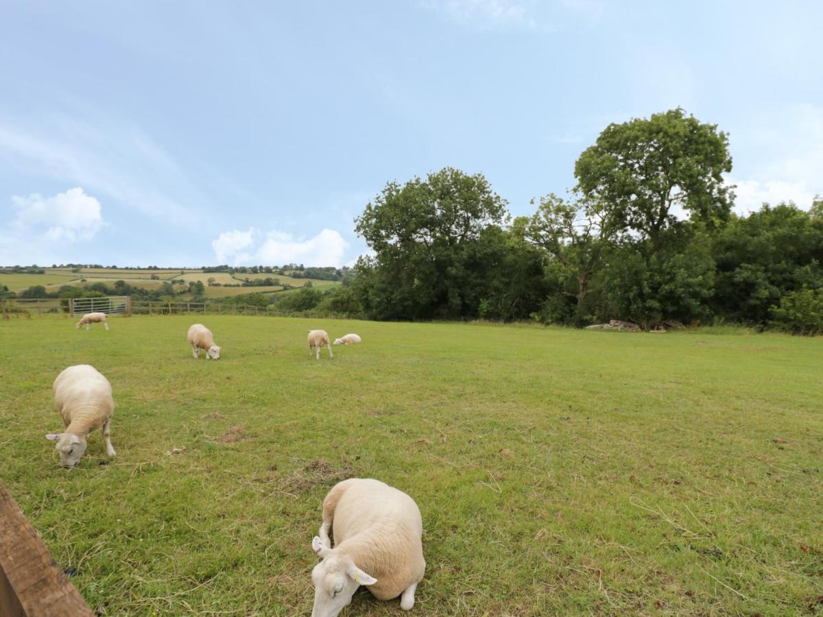 Holmer Farm Leominster Zewnętrze zdjęcie